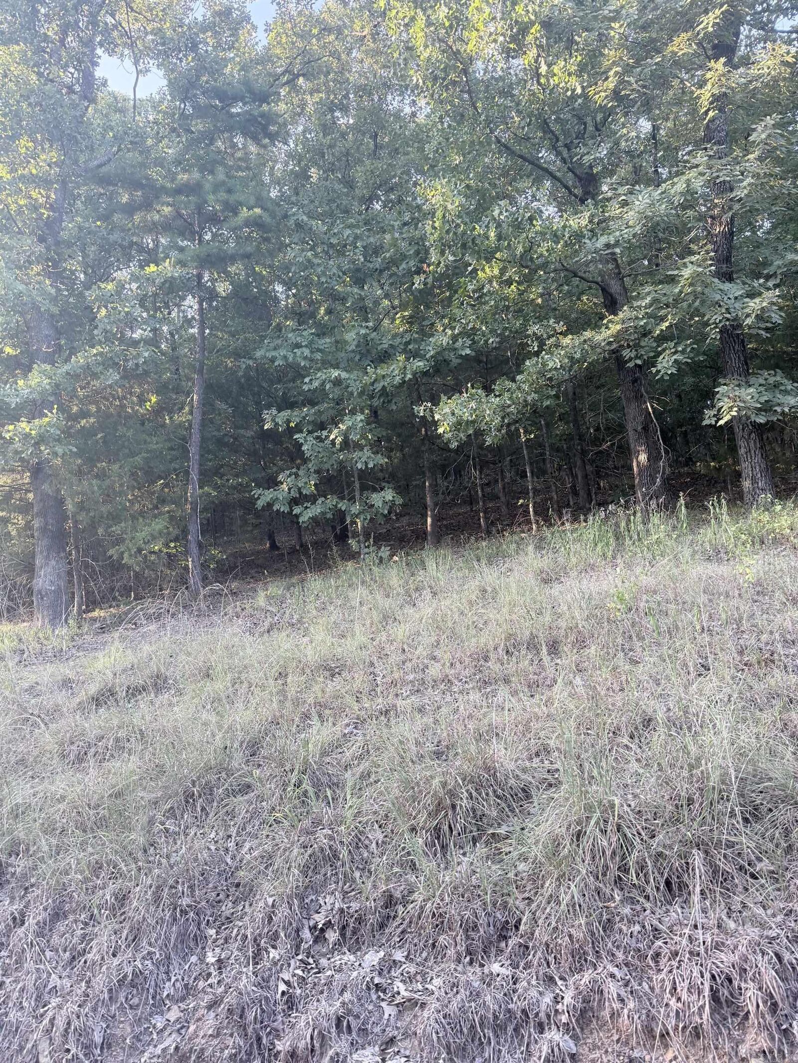 Property Photo:  Lot 13 Ridge  AR 72106 
