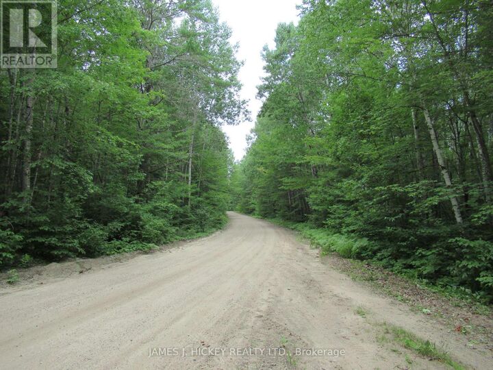 601 Mackey Creek Road — photo 1