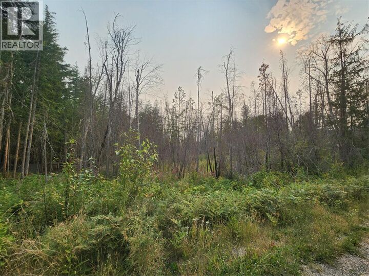 Property Photo:  Lot 2 Meadow Creek Road  BC V0E 1M6 