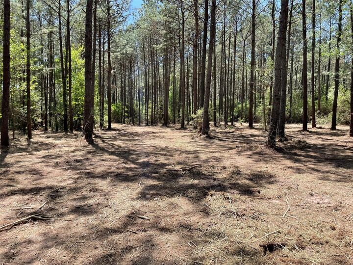 Property Photo: 15899 Wood Grove Way TX 77378