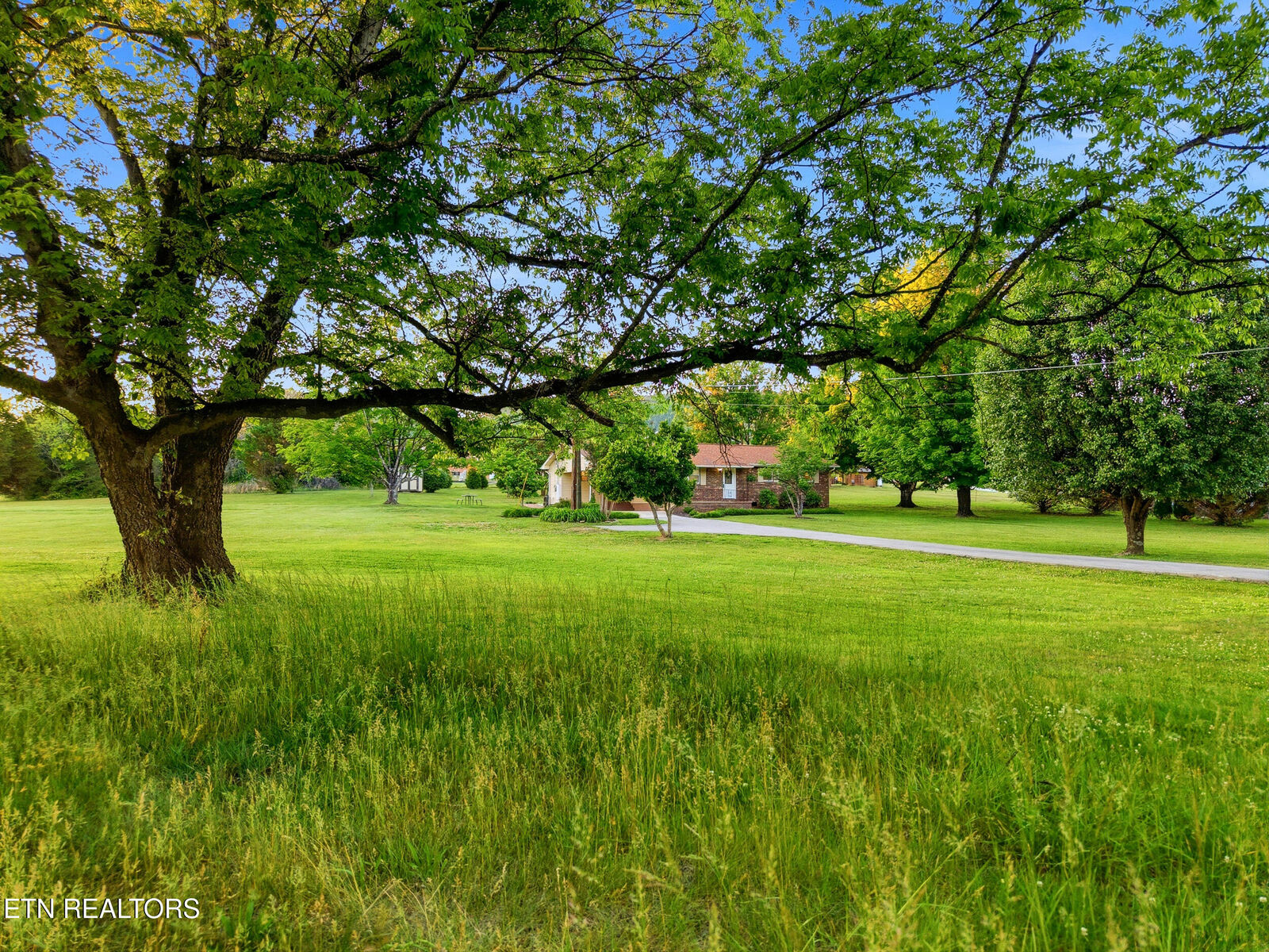 Property Photo: 819 Rutledge Pike TN 37709