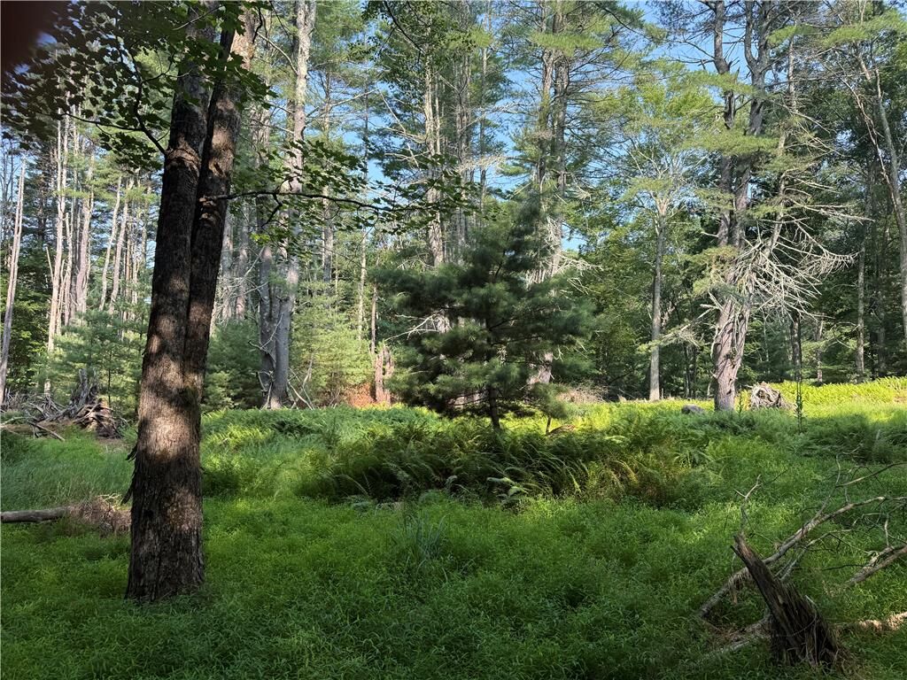Property Photo: Rebels Road Lot 2C PA 18435