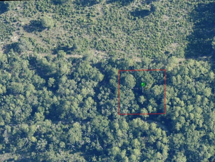 Property Photo: 7065 W Rainbow Street FL 34433