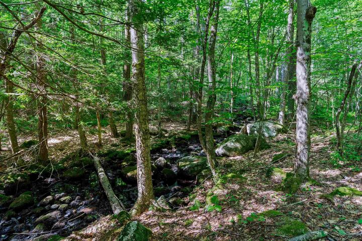 Property Photo:  292 Route 13  NH 03033 