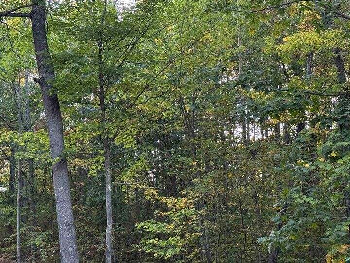 Property Photo: 000 Hwy 2 WI 54847