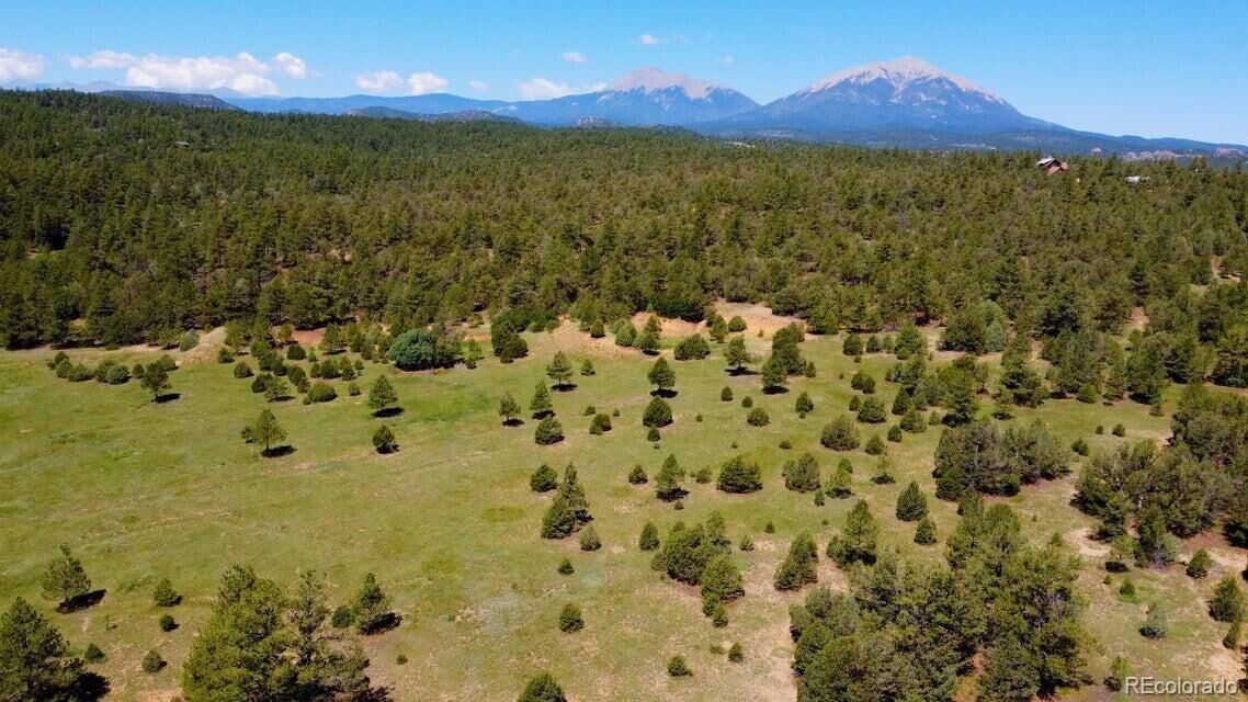 Property Photo:  21270 Spirit Mountain Drive  CO 81020 