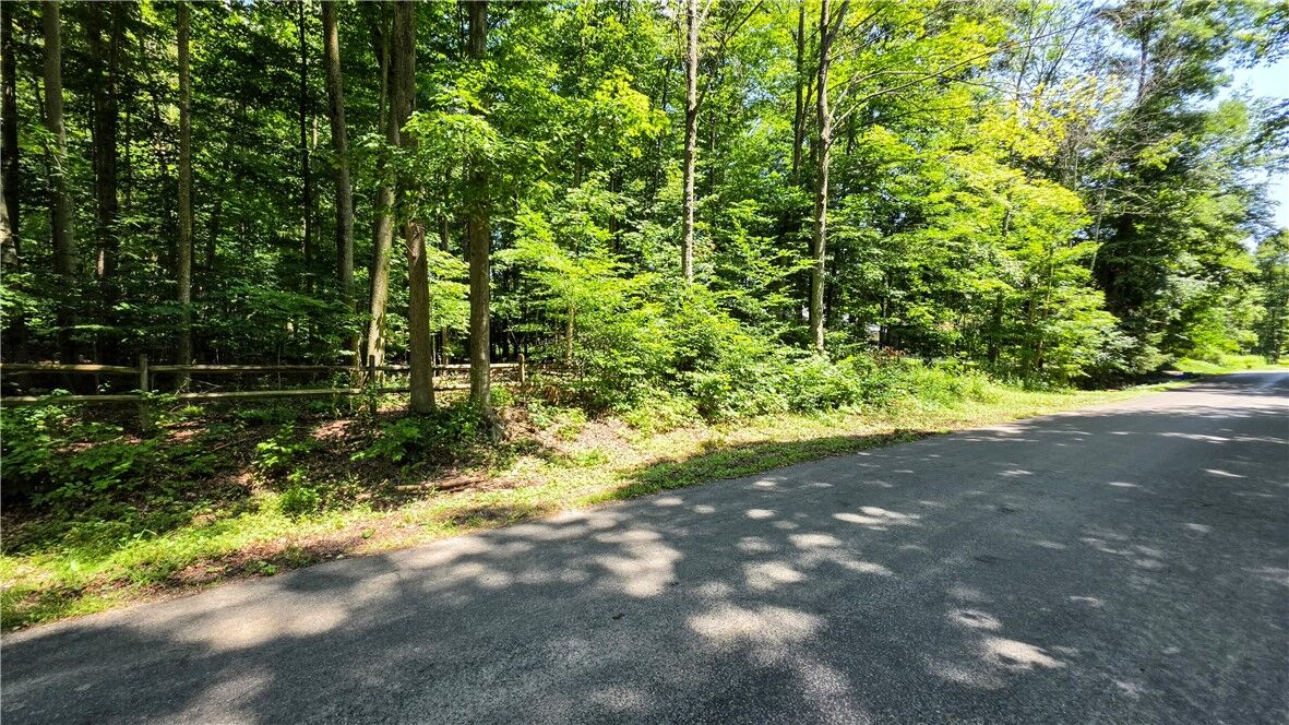 Property Photo: 0 Morris Road NY 13068