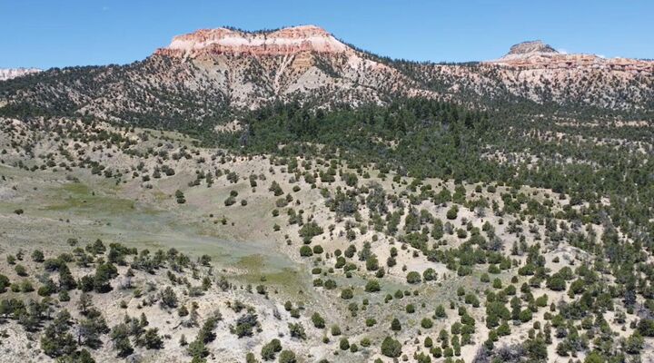 Property Photo:  1910 W Bryce Way  UT 84776 