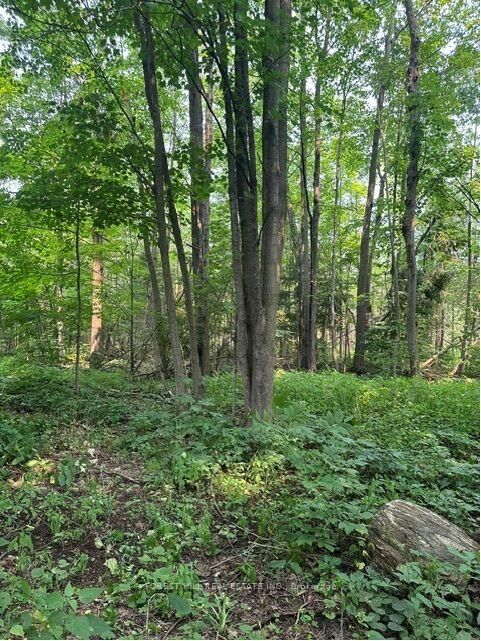 Property Photo:  2728 25th Side Road  ON L9S 3T5 