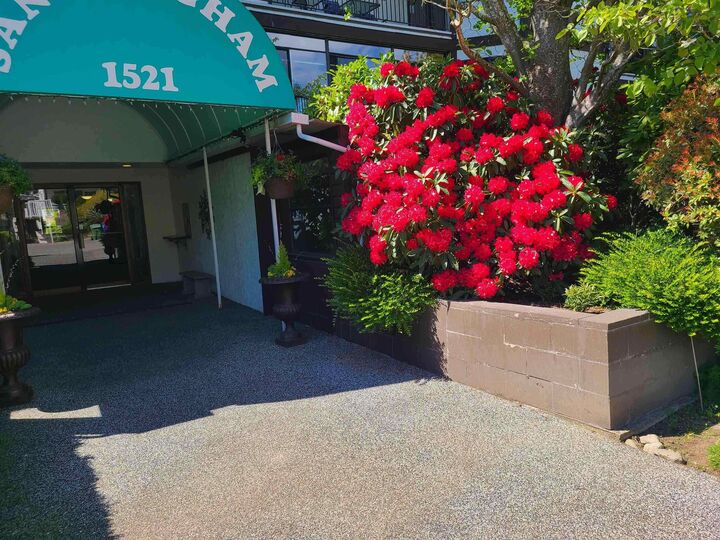 1521 Blackwood Street 111 — photo 1