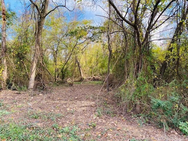Property Photo:  Unk Maple Street  AR 71953 