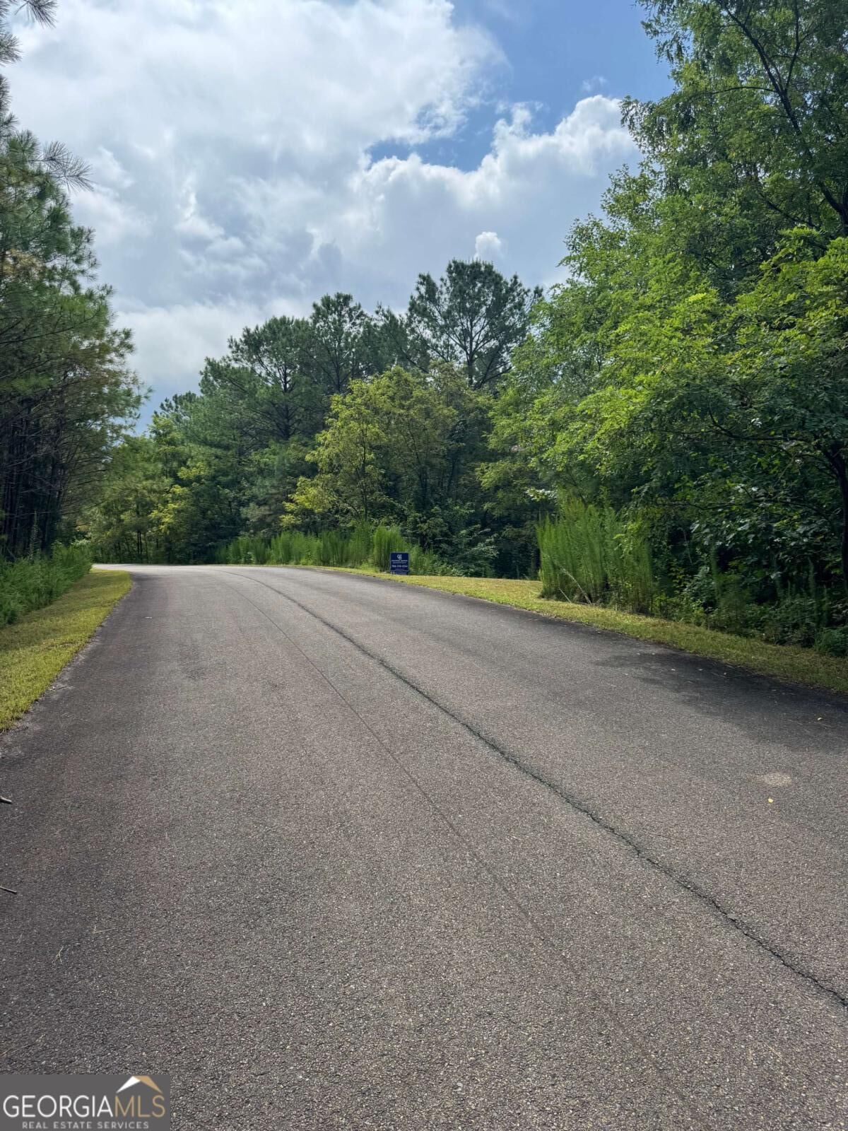 Property Photo:  Lts 43 &Amp 44 Reece Mountain Road  GA 30536 