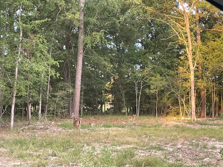 Property Photo: Tbd N Clear Spring Road TX 75862