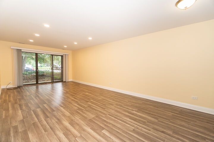 Property Photo: 250 Old Oak Drive 172 IL 60089