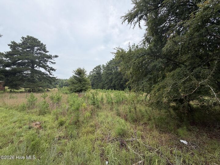 Property Photo:  0 Mayfield Road  GA 30828 