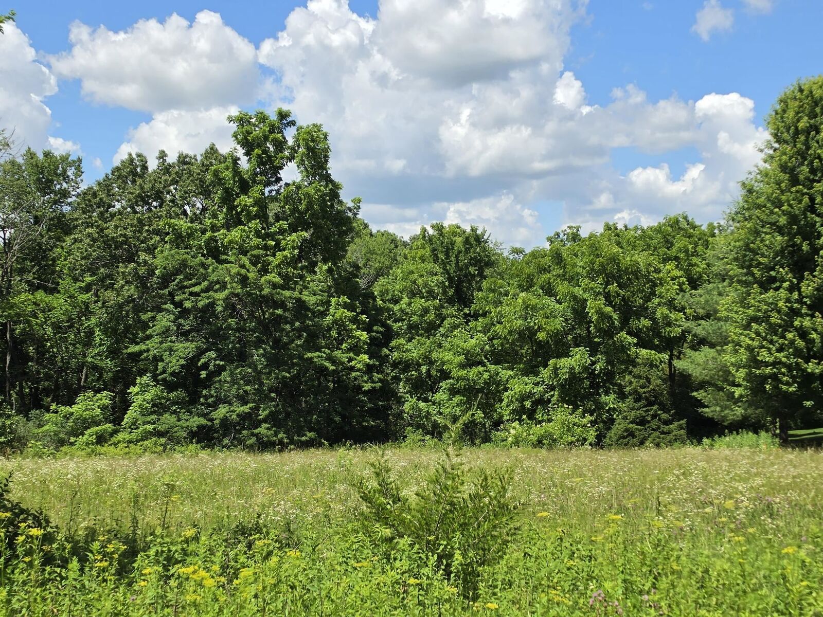 Property Photo:  21 Cameron Road  IL 61036 