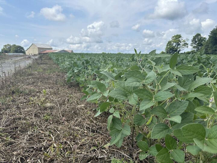 Property Photo: 3752 Elm Tree Road ON K0M 2B0