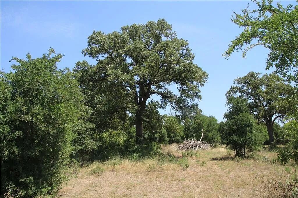 Property Photo:  580 Whisper Lane  TX 78628 