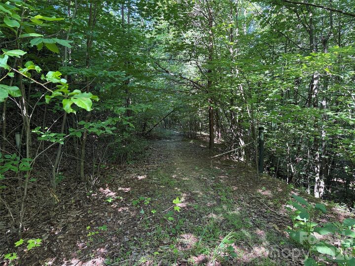 Property Photo:  Tbd Casey Mountain Road 222  NC 28665 