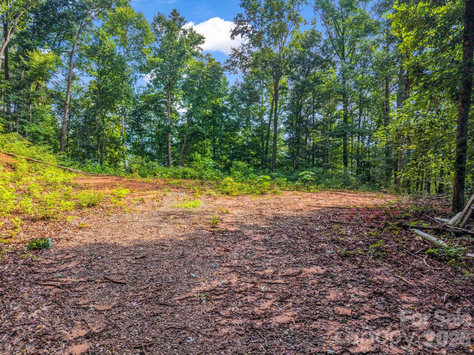 Property Photo:  00 Kema Road 6  NC 28778 