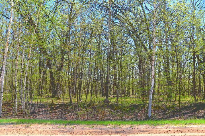 Property Photo:  Tbd 392 Street  MN 56438 