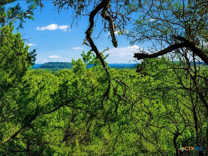 Property Photo: Tbd Piedras Pass TX 78666