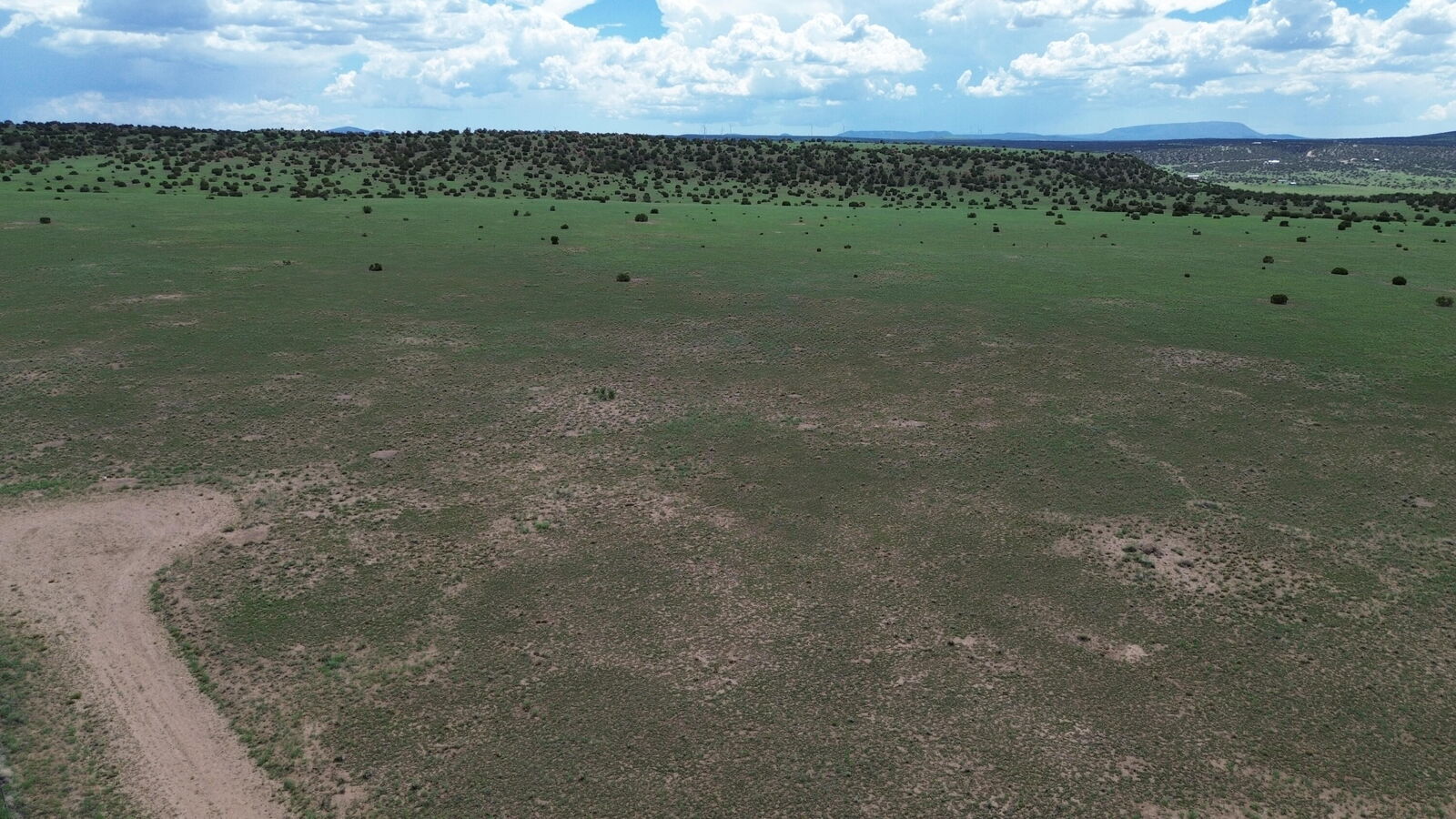 Property Photo: Lot 169 Deer Circle NM 87829