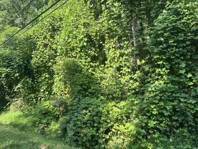 Property Photo:  8813 Gann Road  TN 37379 