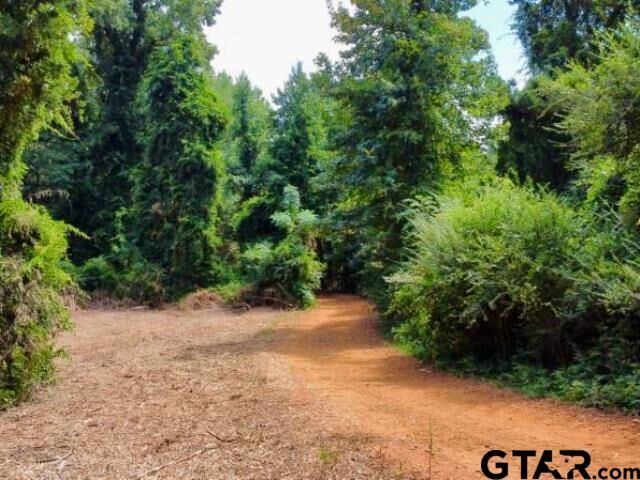 Property Photo:  1317 N Main  TX 75563 