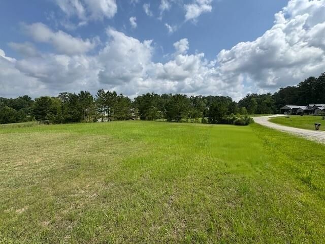 Property Photo: 37 Silver Lakes Drive TX 77340
