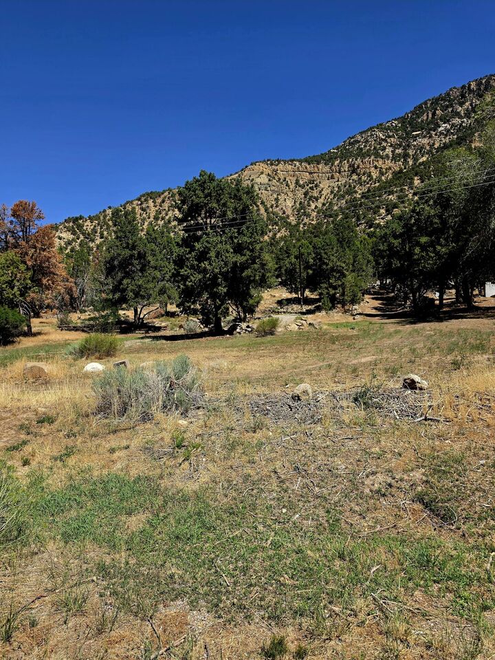 Property Photo:  