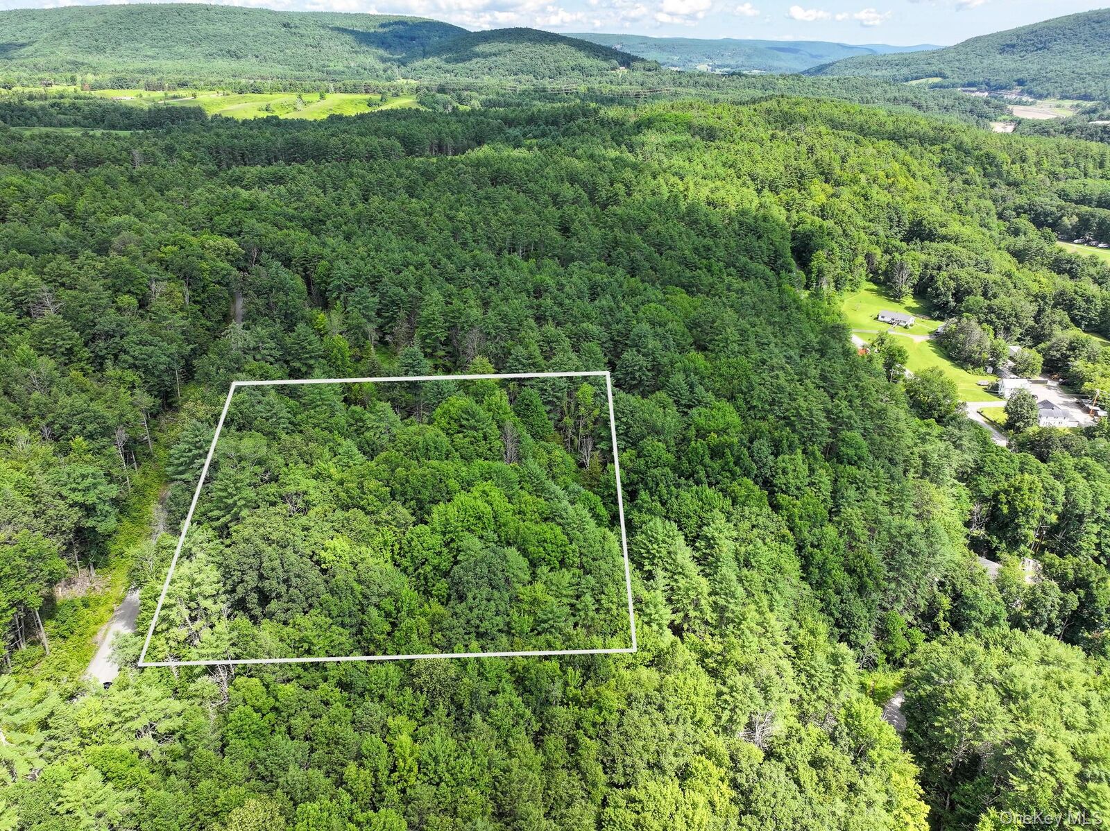 Property Photo:  Crescent Road  NY 12076 