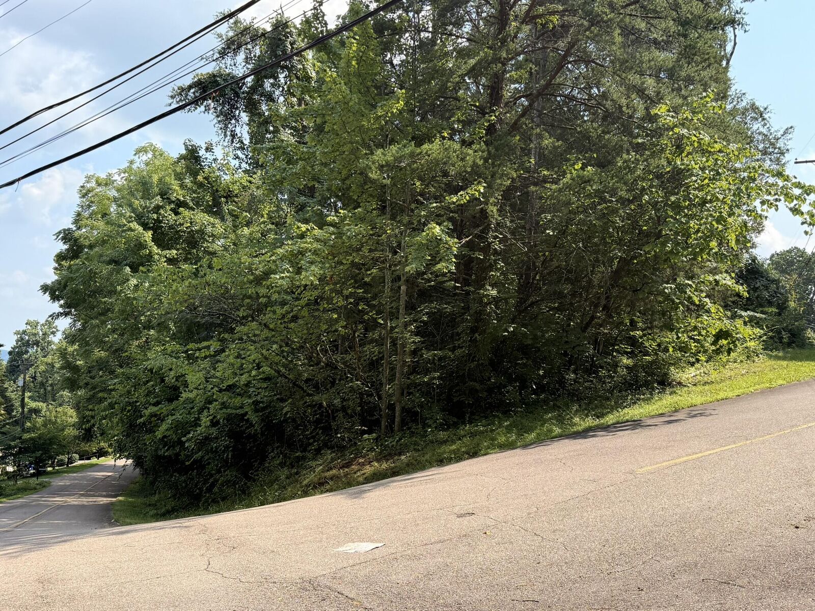 Property Photo: Lot 91 Prater Drive TN 37814