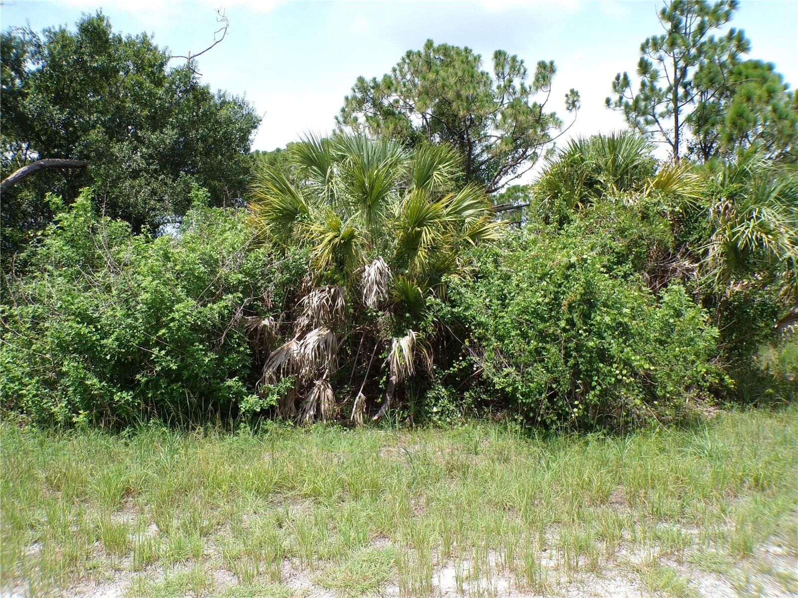 Property Photo:  Constitution Drive  FL 34291 