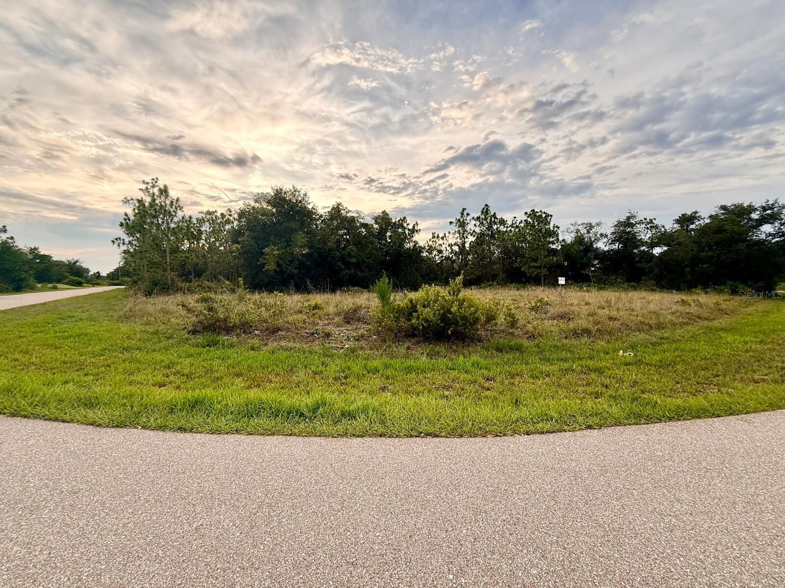 Property Photo: 143 Vanilla Circle FL 33982