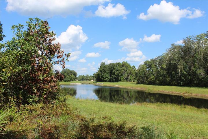 Property Photo: Dolphin Circle FL 32833