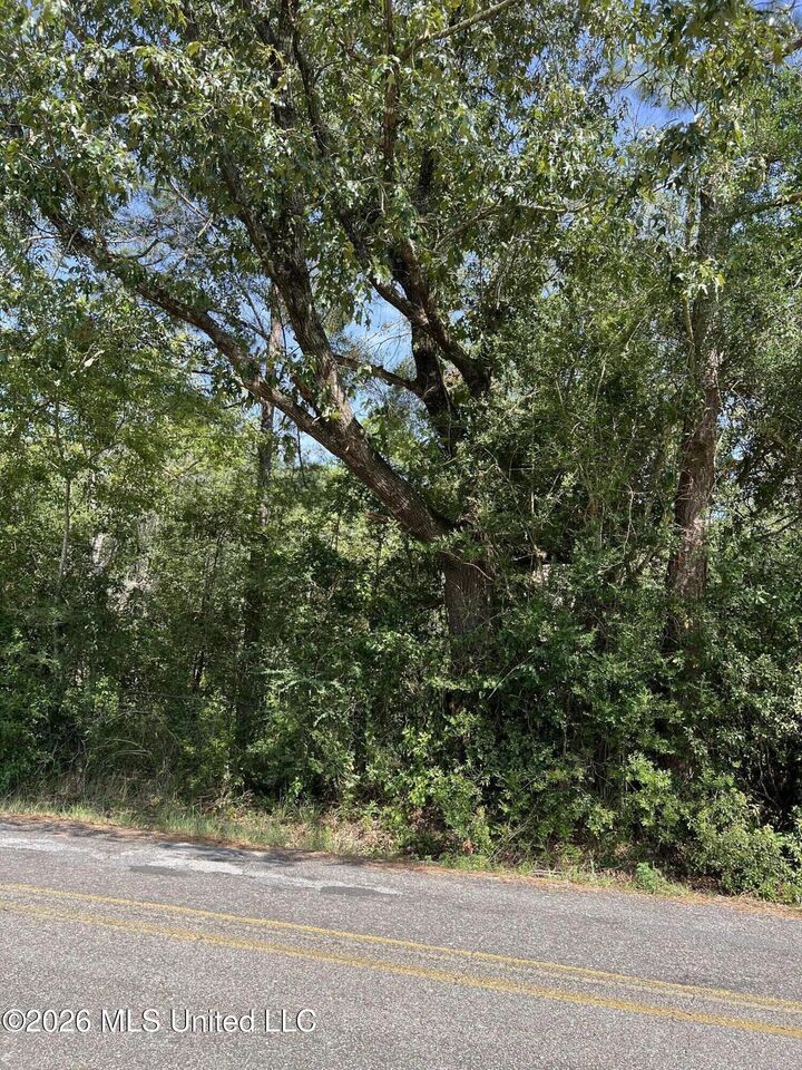 Property Photo:  Mennonite Road  MS 39503 