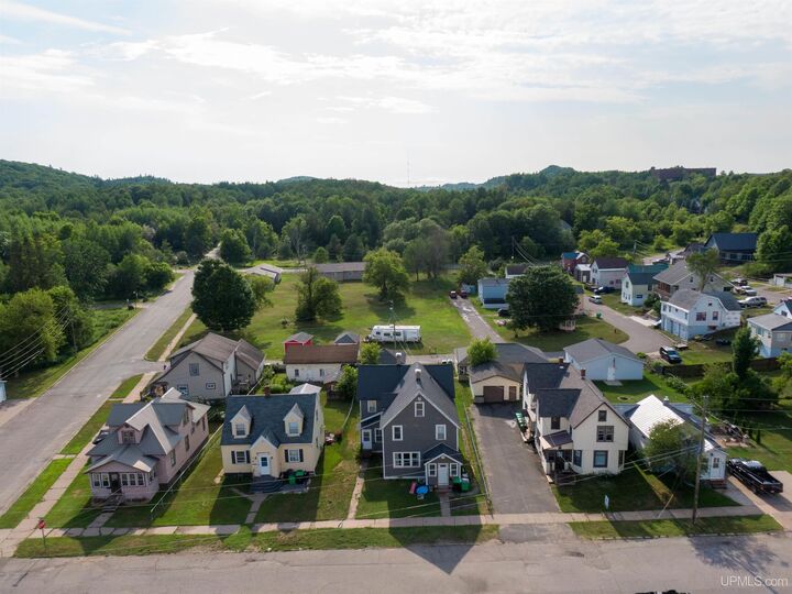Property Photo:  309 Tobin Street  MI 49866 