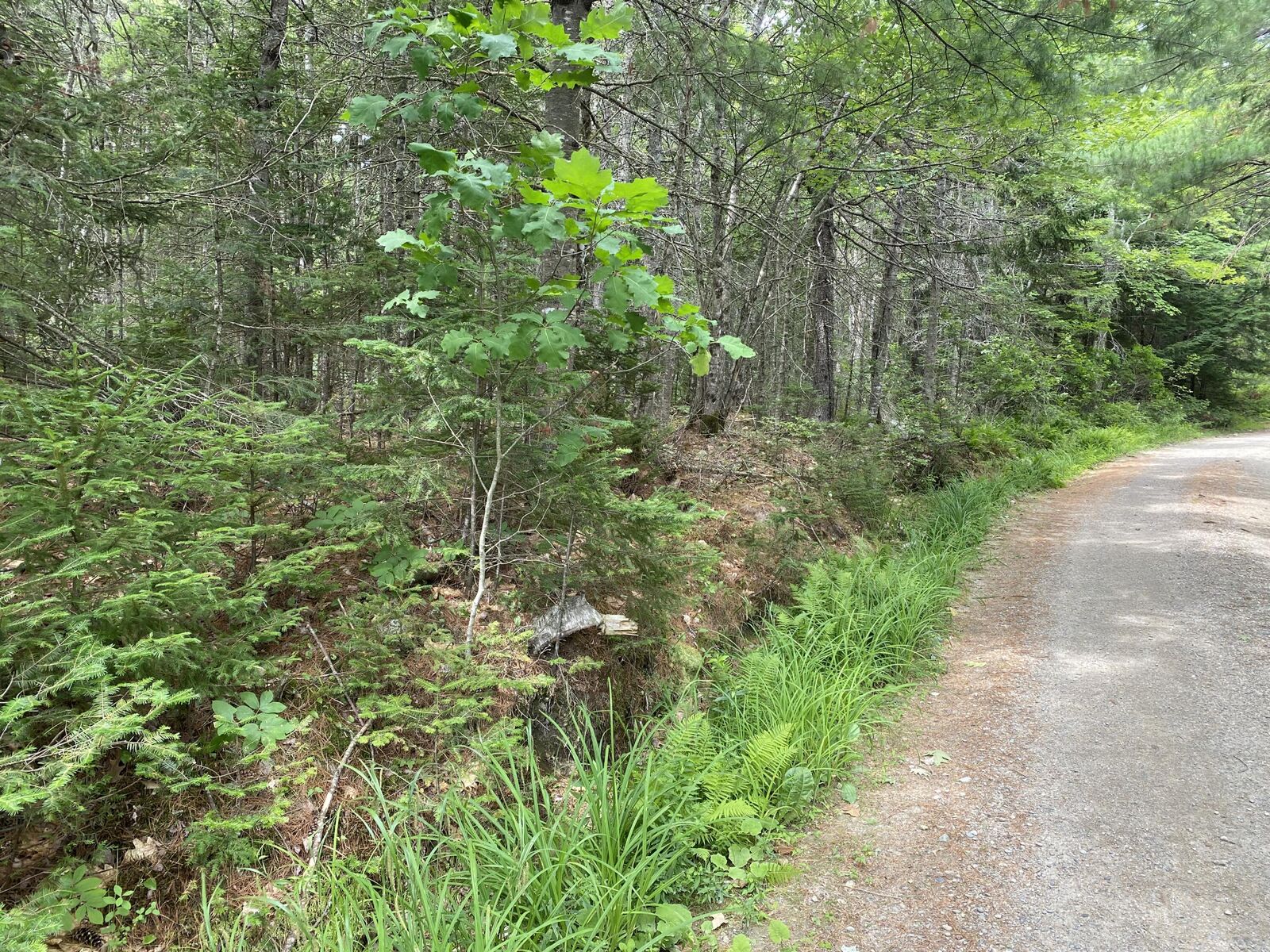 Property Photo: M39, L30d Jay Carter Road ME 04614