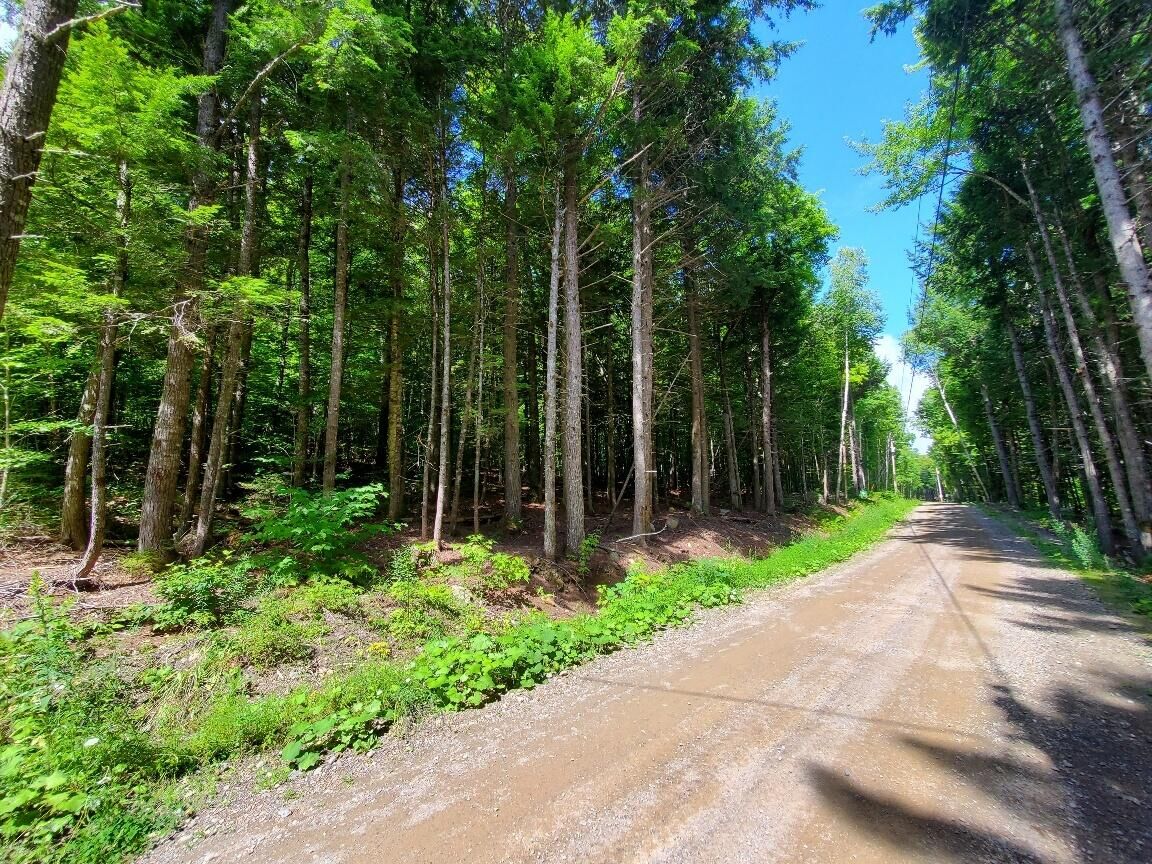Property Photo: Map18lot27 Sandy Beach Road ME 04424