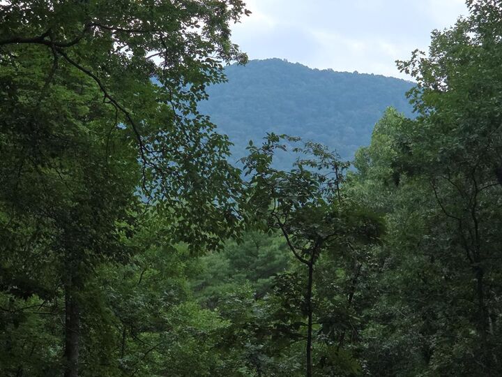 Property Photo:  150 Trail Tree Drive  GA 30512 