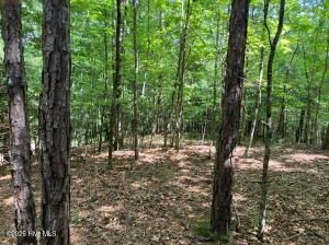 Property Photo: Lot 11 Green Cove Circle NC 28906