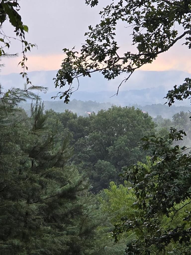 Property Photo:  Lot B & W Ranch Road  GA 30512 