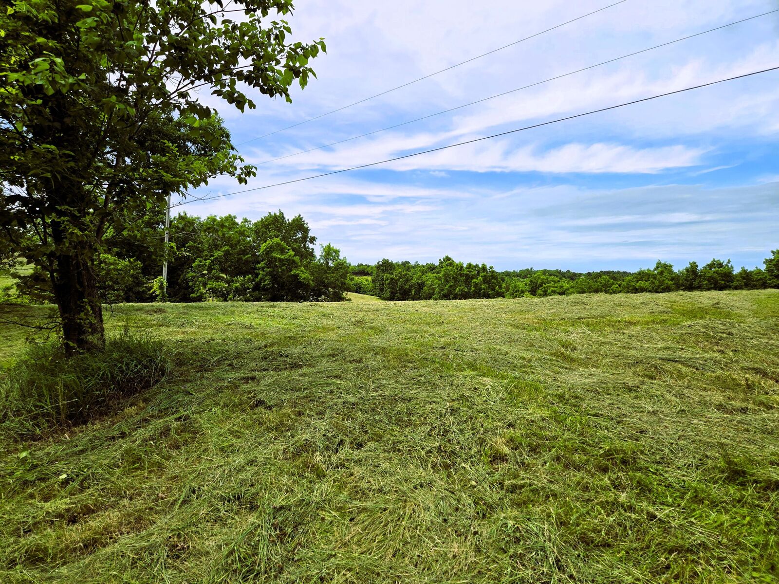 Property Photo: 1690 Baker Williams Road KY 41010