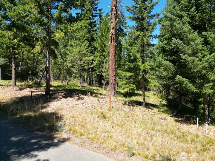 Property Photo:  0  Lot 23 Old Grove Trail  WA 98922 