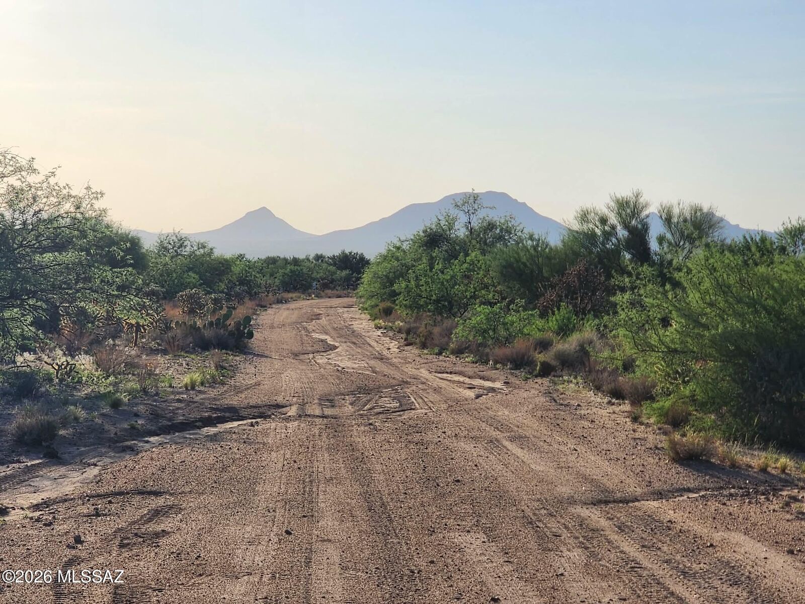 Property Photo:  16154 W Prosperi Avenue 90  AZ 85736 