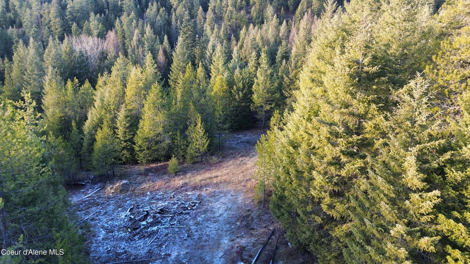 Property Photo:  L7 B1 Kelso Woods Dr  ID 83801 