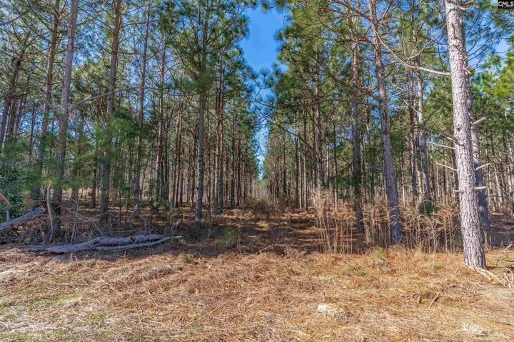 Property Photo:  Lot #4 Fairview 008200-07-010  SC 29006 
