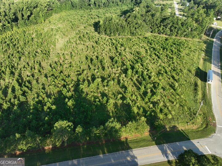 Property Photo: 0 Ben Grady Collins Road GA 30450