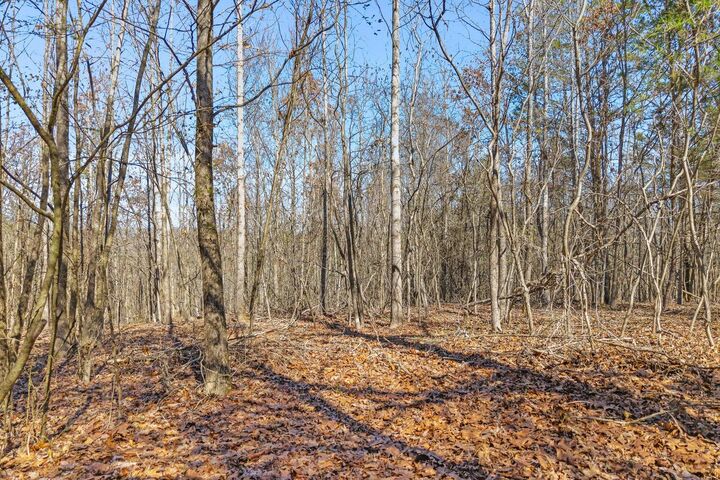 Property Photo: 0 Ware Farms Road TN 37381